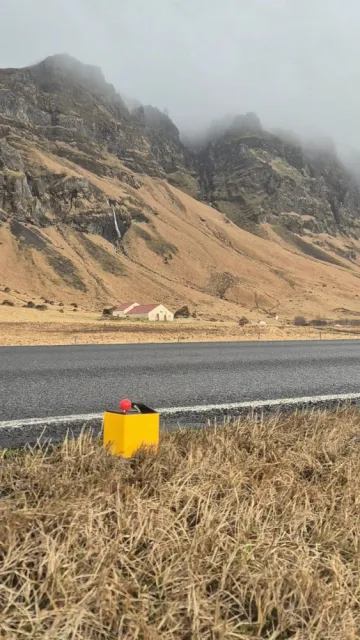 Ísland 
