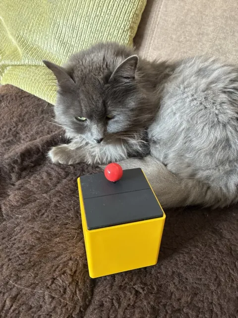 Jörg
