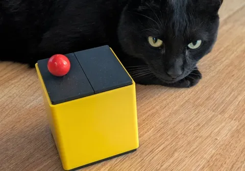Mathieu