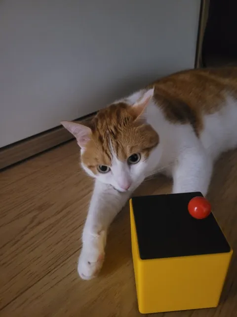 Damien