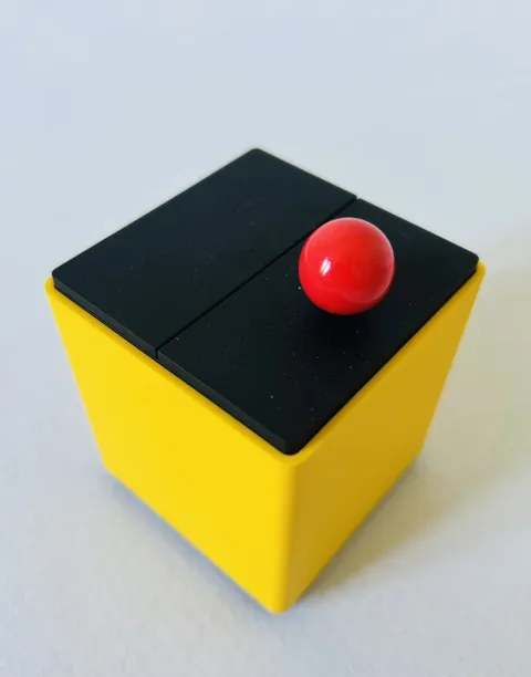 Timo