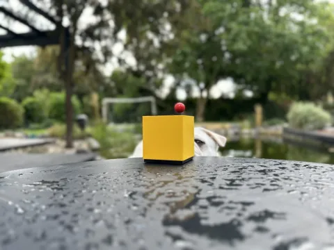 Christian